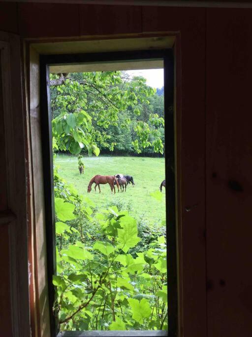 Auszeitshaeusel Ideal Fuer Naturfreunde Und Wanderer Villa Marktschellenberg Luaran gambar