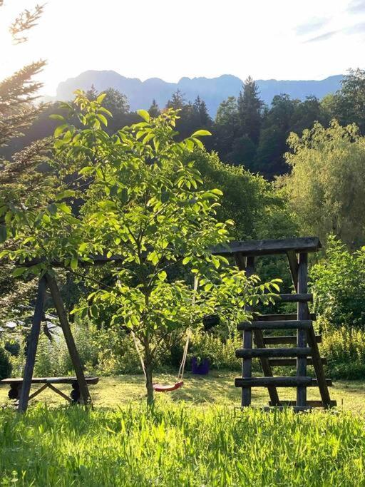 Auszeitshaeusel Ideal Fuer Naturfreunde Und Wanderer Villa Marktschellenberg Luaran gambar