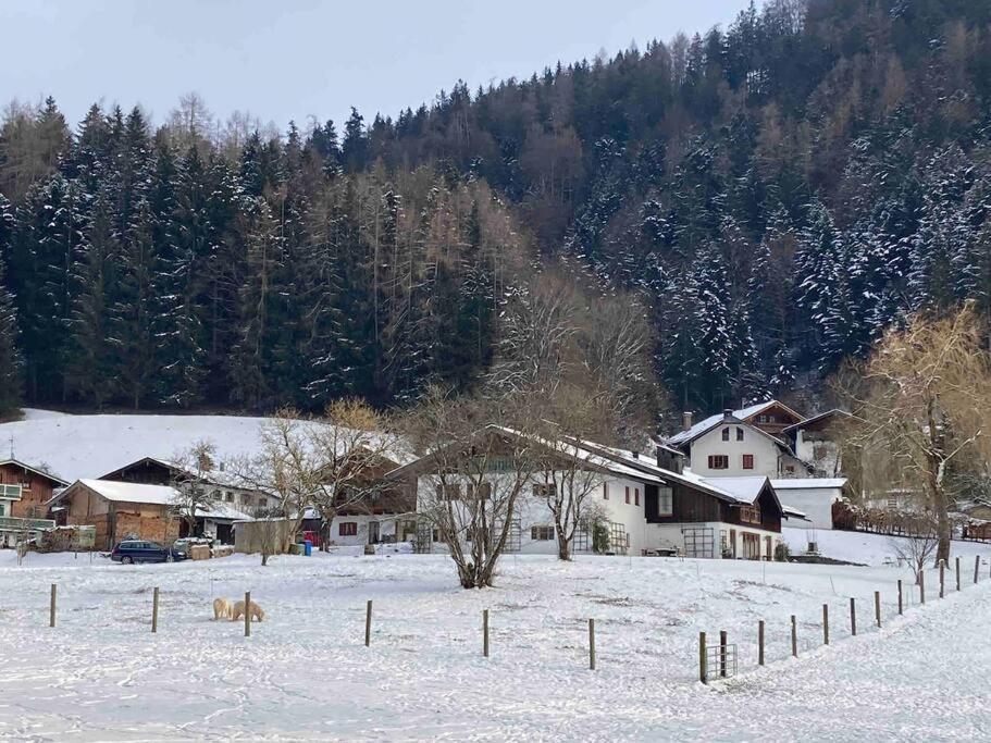 Auszeitshaeusel Ideal Fuer Naturfreunde Und Wanderer Villa Marktschellenberg Luaran gambar