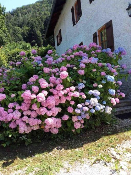 Auszeitshaeusel Ideal Fuer Naturfreunde Und Wanderer Villa Marktschellenberg Luaran gambar